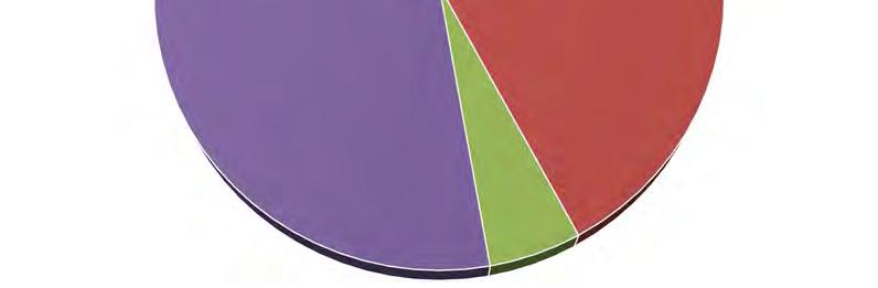 fyzio a ergo 5% Zastoupení institucí Ostatní 14% Nemocnice 19%