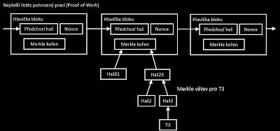 Doposud mohl každý přidávat do ledgeru nové řádky. Byl volně přístupný, umístěný na veřejném místě (např. na internetu), což však vyžadovalo důvěru v hostitele sítě a v pravidla o přidávání transakcí.