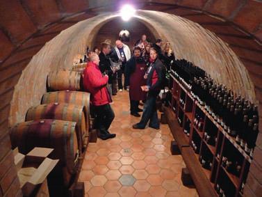 Podpora uchovávání a rozvoje vinařství a vinohradnictví, rozvoj vinařské turistiky Loni proběhl Festival otevřených sklepů ve vinařských podoblastech znojemské a slovácké V oblasti vinařské turistiky