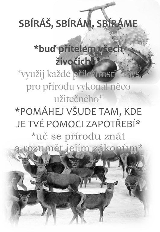 nám přinesl ukázat i svou flintu a patrony. Besedování jsme zakončili společným zpěvem písní Já do lesa nepojedu a Skákal pes přes oves.