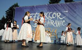 Vedle četných tanečních vystoupení se Hlubinka věnuje také pořádání jarních a vánočních koncertů, výchovných koncertů pro základní a mateřské školy, dětského krojovaného bálečku nebo starodávného
