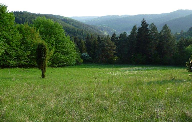 3. Nejvyšší bod chráněného území se nachází v