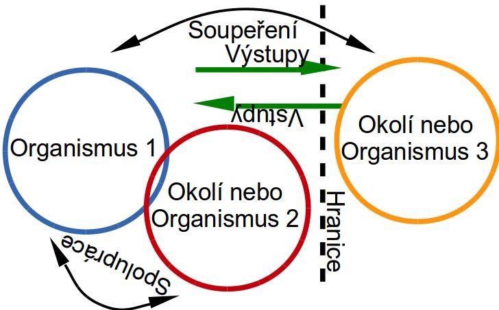 Zájem organismů je spolupráce i