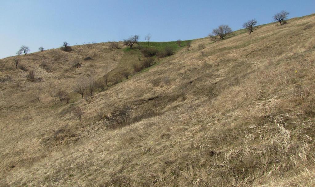 Na snímcích původně vyhlášená přírodní rezervace Člupy Přírodní rezervace Člupy byla původně vyhlášena v roce 1981 na ploše 5,66 ha.