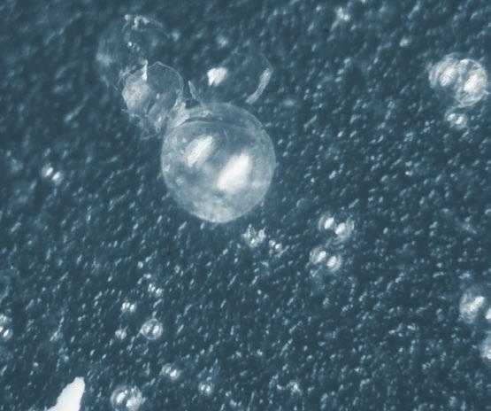 Silně zředěný vzduch uvnitř bublinky zase velmi dobře tepelně izoluje (nejlepší tepelný izolant je vakuum). Barva naplněná těmito bublinkami vytváří podobnou strukturu jako pěnový polystyren.