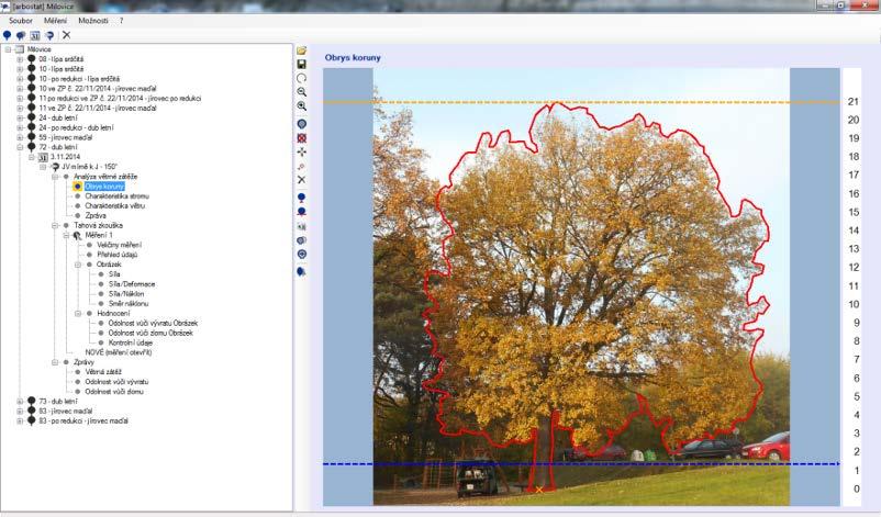 6.3 Zátěžová analýza Při zátěžové analýze je pomocí speciálního softwarového programu ArboStat zjištěna skutečná náporová plocha stromu při větrné zátěži.