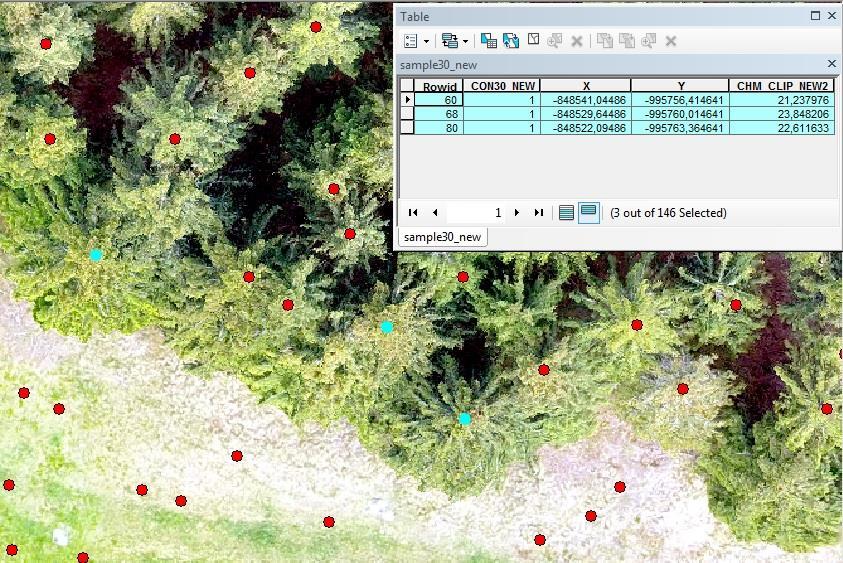 Všechny výšky jednotlivých stromů byly v programu ArcGIS v jedné atributové tabulce. Zároveň byly v atributové tabulce všechny body (červené) z vrstvy Points.