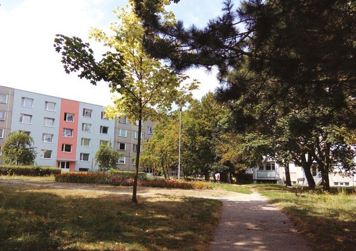 www.ceskotrebovskenoviny.cz ČÍSLO 9 / ZÁŘÍ 2018 ZÁŘIJOVÉ NOVINY V České Třebové se v letošních komunálních volbách bude o hlasy voličů ucházet 8 volebních stran.