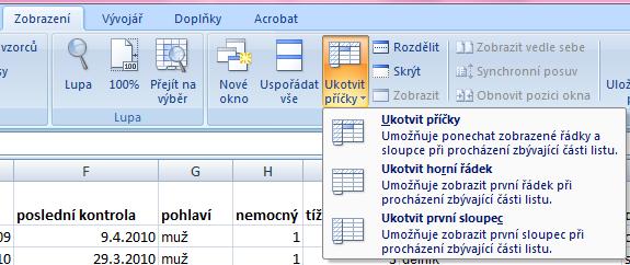 Ukotvení příček Umožňuje ukotvení libovolných řádků a sloupců pro pohodlné vkládání a prohlížení dat v tabulce Umožňuje číst řádky/sloupce ze začátku tabulky i po přesunutí se dále Záložka Zobrazení