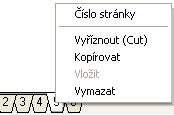 Práce se stránkami projektu Stránky vložené do projektu mohou být v rámci projektu přesouvány, kopírovány a vkládány, přečíslovány, vymazány.