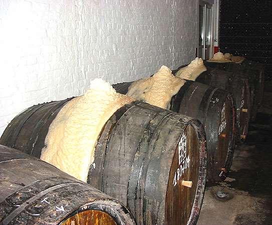 Spontánní kvašení výroba piva lambic 18 sudy, ve kterých probíhá kvašení, obsahovaly původně víno