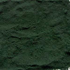 119 Kč 4,76 31 Kč 1,24 Spirulina prášek BIO