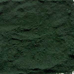 119 Kč 4,76 31 Kč 1,24 Spirulina prášek BIO