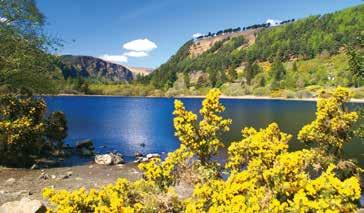 Irsko - ubytovaní na trajektu - Dublin, Mohérové útesy, Burren, Bunratty Castle, Adare Smaragdový ostrov nejzápadnější výběžek evropské civilizace, nádherná příroda plná jezer, divokých pobřeží a