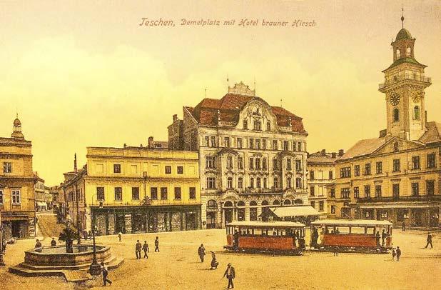 Bříza produkuje velké množství lehkých semen a velmi brzy nalétne na takto poškozené místo, aby co nejdříve zabránila odnosu půdy, ztrátě živin a půdního humusu.