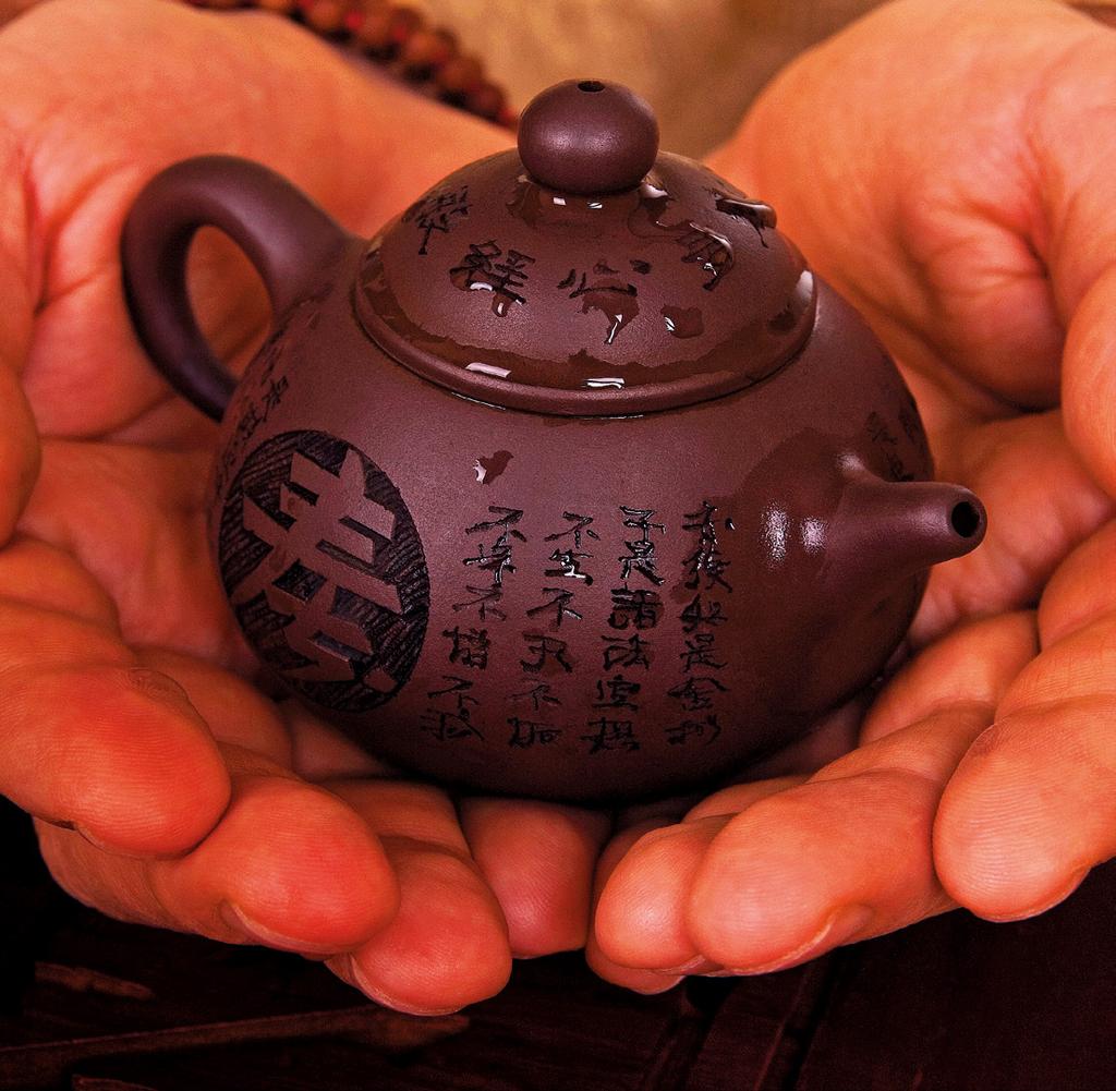 (KOTVIČNÍK ZEMNÍ) Tato pozoruhodná drobná chlupatá léčivka pochází původně z písčitých mořských pobřeží Číny a Japonska, odkud se rozšířila do suchých oblastí celého světa.