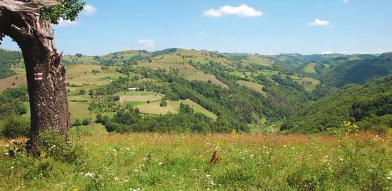 POZNÁVACÍ ZÁJEZDY 33 Rumunsko český Banát NOVINKA za českými krajany, turistikou a panenskou přírodou Program zájezdu 8 % do 31.1. 6 % 6 % 4 % 1.