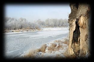 ÚNOR 2017 pondělí úterý středa čtvrtek pátek sobota neděle 1 2 3 4 5 6 7 8 9 10 11 12 13 14 15 16 17 18 19 20 21 22 23 24 25 26 27 28 2. 5. 2. 2017 Festival řízků na Bukovanském mlýně 3. 2. 2017 Ples ZŠ a MŠ Archlebov v tělocvičně ZŠ Archlebov (od 20 hodin) 4.