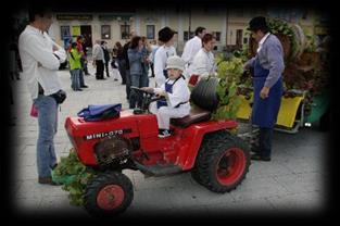 9. 2017 Prohlídky interiérů a sklepů Fürstovy vily s degustací vybraných vín a burčáků v obci Bzenec 16. 9. 2017 Zarážání hory a vinobraní ve Svatobořicích-Mistříně (od 14 hodin) 17. 23. 9. 2017 Výstava keramiky Ivo Nimrichtra a Jaroslava Homoly v obci Vracov 18.