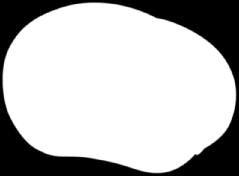 Vanilka - čokoláda,