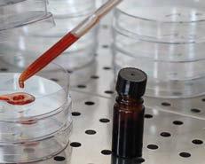 Mastné oleje pro masážní oleje a oleje na pokožku pocházejí také pokud možno z kontrolovaného biologického pěstitelství.