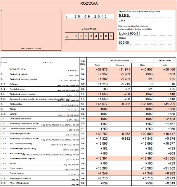 Příloha 1 Účetní závěrka společnosti sestavená z rozvahy, výkazu zisku a ztráty,