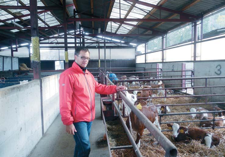 Produkce mléka v Krásné Hoře plně splácí investice do živočišné výroby Vyvážená a efektivní ekonomika je základním principem hospodaření akciové společnosti ZD KRÁSNÁ HORA NAD VLTAVOU.