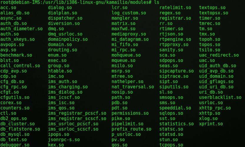 Obr.25: Nainstalované moduly Kamailio 4.6.2 Instalace DNS Jako DNS server byl použit BIND.