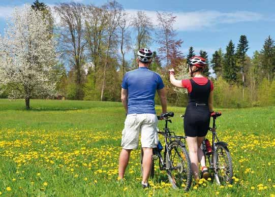 Za výjimečnou vinicí Šobes v srdci Národního Parku Podyjí Délka trasy: 62 km, stoupání celkem 1 060 m, klesání celkem 1 060 m, obtížnost: střední Naplánovali jsme pro vás celodenní do jedné z