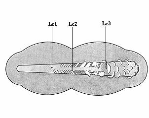 Porušení asociované silou: (a) LC1 (b) LC2 (c) LC3 Scratch test Parametry zkoušky při použití standardních podmínek měření 10 mm/min a 100 N/min.