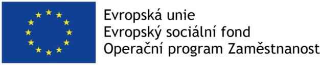 EFEKTIVNÍ FINANČNÍ ŘÍZENÍ MĚST, REGIONŮ A JEJICH