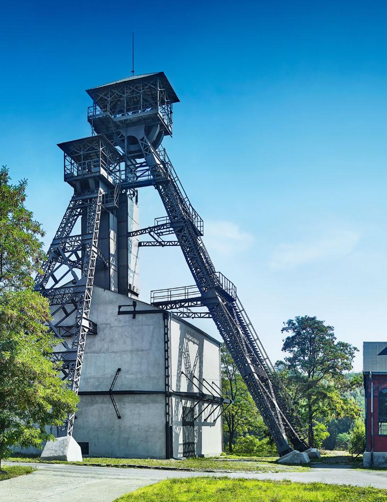 5 Čestné prohlášení statutárního orgánu (ředitele státního podniku) Já, níže podepsaný: Ing. Tomáš Rychtařík Datum narození: 20.