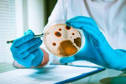 ODBORNÍCI NA HYGIENU PRIMUS VÁM NABÍZÍ NEJVYŠŠÍ KONTROLU NAD HYGIENOU ZPRACOVÁNÍ PRÁDLA Vybavení prádelen od značky Primus je navrženo tak, aby vám dokázalo nabídnout maximální úroveň čistoty a