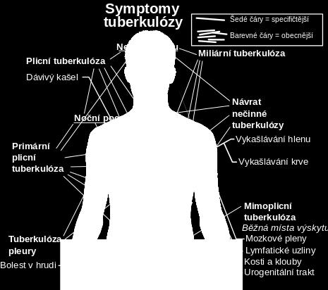 Mikrob ve vztahu k hostiteli (člověk) obecná