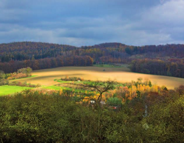 18 19 20 21 22 23 24 Romana Kateřina 25 LISTOPAD / PROSINEC 47. týden 48.