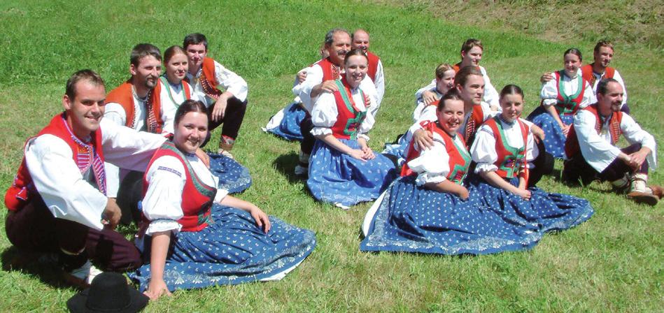 Soubor tvoří taneční a pěvecká skupina a lidová muzika. Gaudeamus se zaměřuje na jevištní zpracování českého lidového umění.