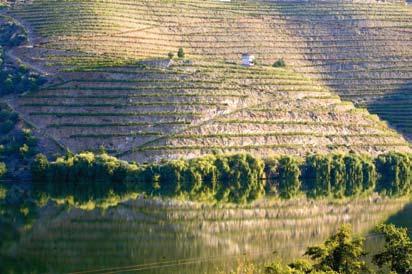 Ve Španělsku je nyní asi 35 oblastí s tímto označením. Vino Comarcal, zkratka VC znamená místní víno.