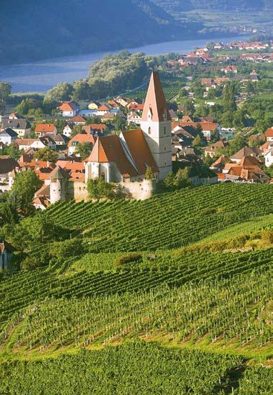 XXIV/XXV Rakousko: Veltlínské zelené vých rohožích, nebo zavěšených. Minimální doba sušení před lisováním je tři měsíce.