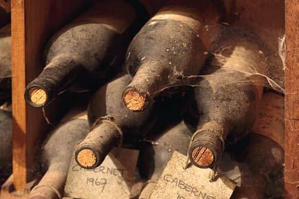XXXII Jak investovat do vína lze bezesporu počítat mezi nejstarší komodity, se kterými se kdy obchodovalo a do kterých se investovalo, protože víno doprovází člověka odedávna.