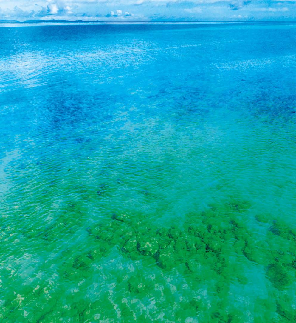 Havajská spirulina obsahuje díky svému specifickému způsobu pěstování téměř dvojnásobné množství biologicky prospěšných látek než jakákoliv jiná spirulina a přibližně 30 nutrientů, které v ostatních