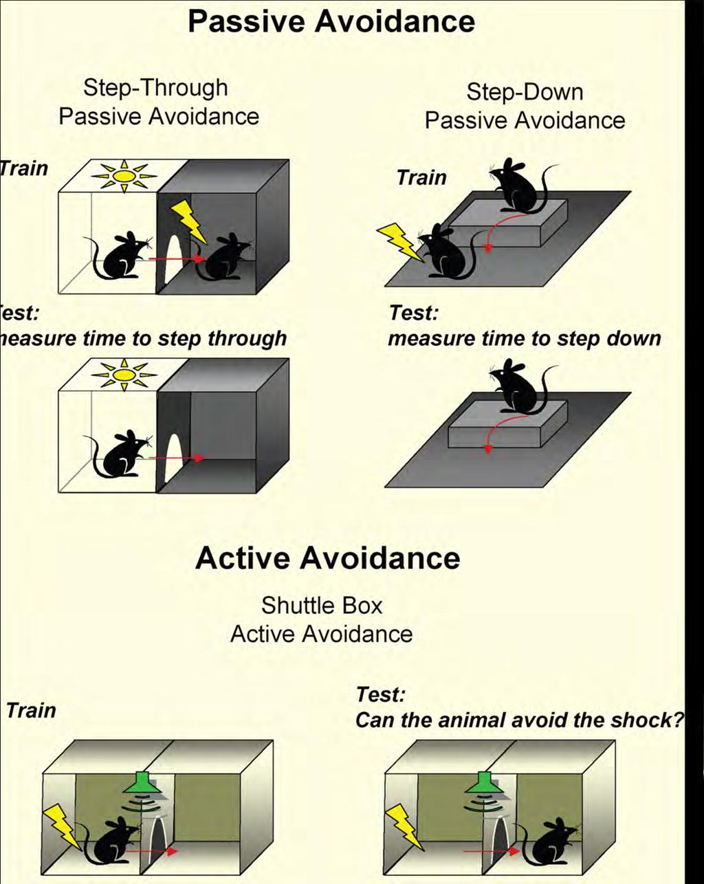 40/50 PASIVNÍ A AKTIVNÍ VYHÝBÁNÍ Pasivní vyhýbání nejčastěji používané modifikace 1. Step-through, Step-down Obě úlohy jsou do jisté míry závislé na hipokampu, např.