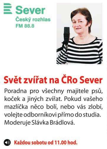 10.2014 12:00 Osek Lovosice B 10 So 25.10.2014 10:30 Rovné - Osek 11 So 1.11.2014 10:30 Osek Hrob 12 Ne 9.11.2014 14:00 Štětí B Osek 13 So 15.11.2014 10:00 Osek - Černiv Rozpis BÉČKA Podzim 2014 1 So 23.