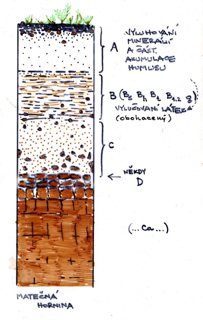 Půdní profil - stavba půdního profilu půdní horizonty (omezená pásma, na které je rozčleněn heterogenní půdní substrát, obr. 4) základní znak půdního typu Obr.