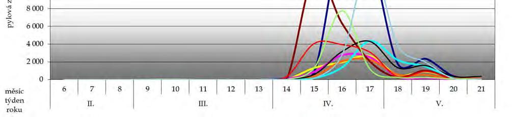 týden, s vrcholem v 9. týdnu - 13 223 zrn (jen 6. 3. bylo napočítáno 10 652 zrn). Mezi významné jarní alergeny patří také cypřišovité (Cupressaceae).