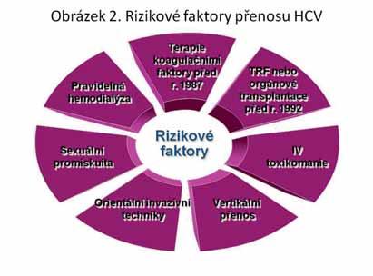 Odstranění bariér v pravém sloupci je již potom záležitostí užší lékařské veřejnosti, specialistů věnujících se problematice HCV infekce a jejich interakce nejen s pacienty, ale i se státními