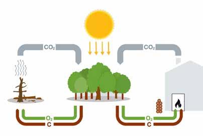 2/3 Vytápění dřevem nejpřirozenější zdroj tepla na světě Rostoucí náklady na fosilní energie a sílící ekologické povědomí vedou ke stále větší poptávce po regenerativních zdrojích energie.