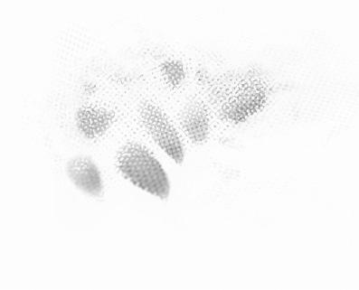 Přehled Obsah balení Opatrně vše vybalte a zkontrolujte, zda jste obdrželi veškeré níže uvedené položky. Podle oblasti, kde jste projektor zakoupili, nemusí být některé z těchto položek k dispozici.
