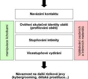 Základní rysy analyzované skupiny Ve všech případech vydírání probíhalo prostřednictvím internetových služeb, zejména v prostředí sociálních sítí (Facebook, ASK.fm aj.).
