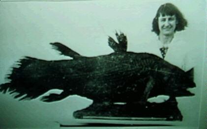 Latimerové) 1939 JLB Smith: popis a identifikace - Coelacantha Aggasiz 1839 (devonská fosilní