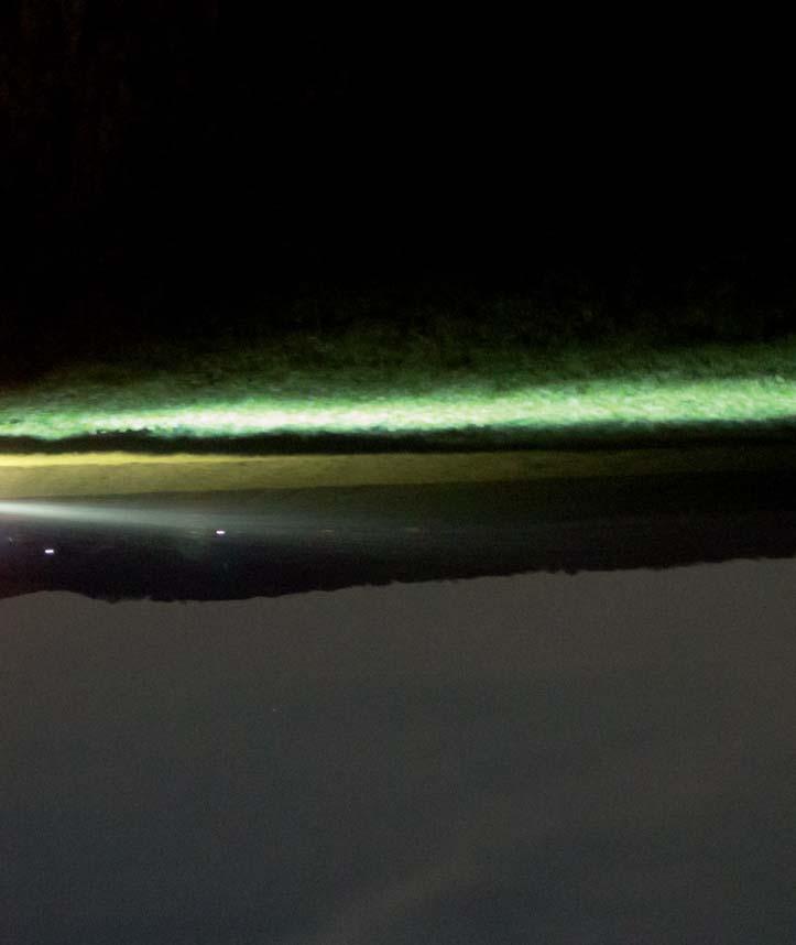 SpreadLight kvalitní LED